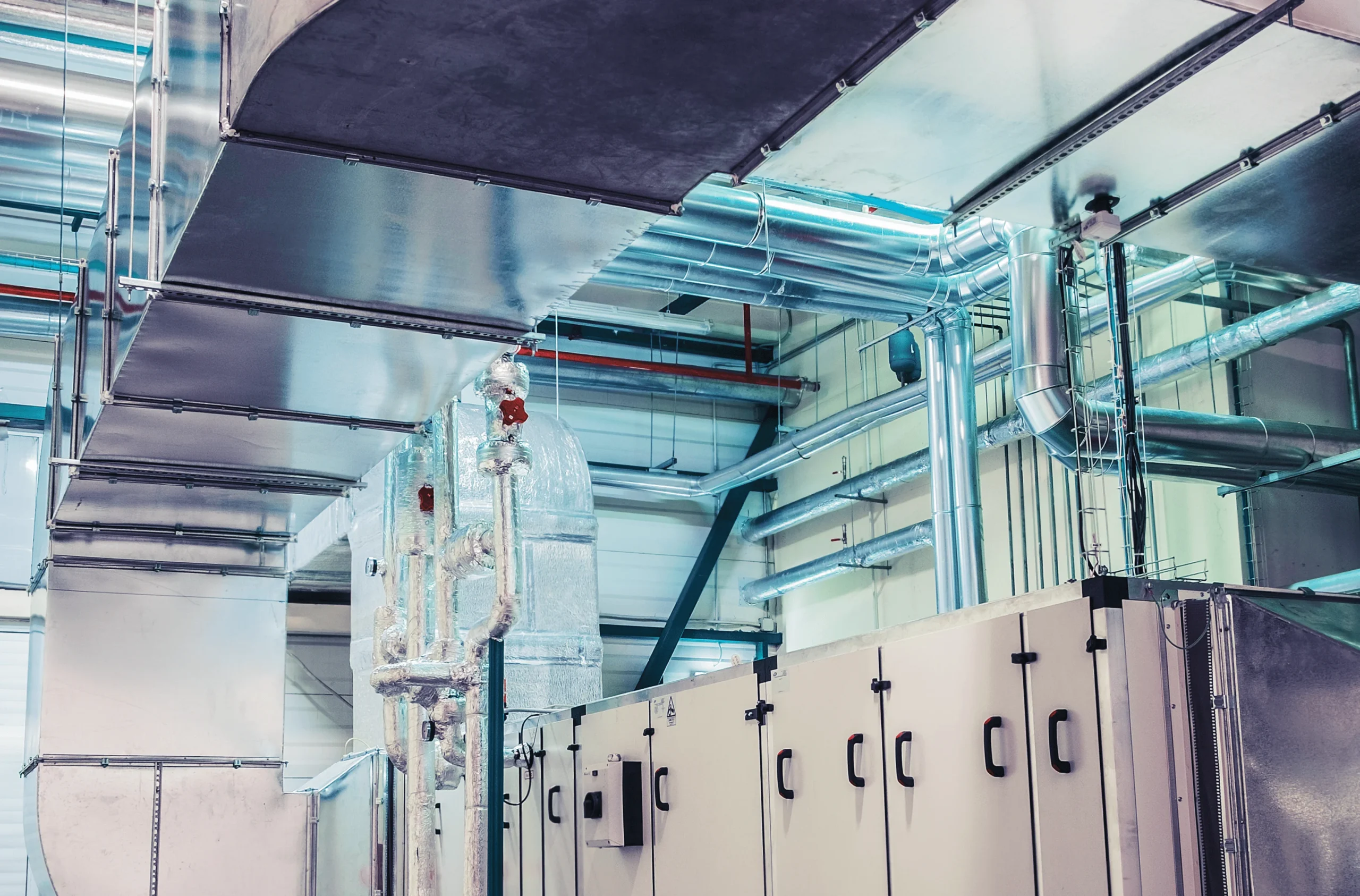 Nutraceuticals - Image 10