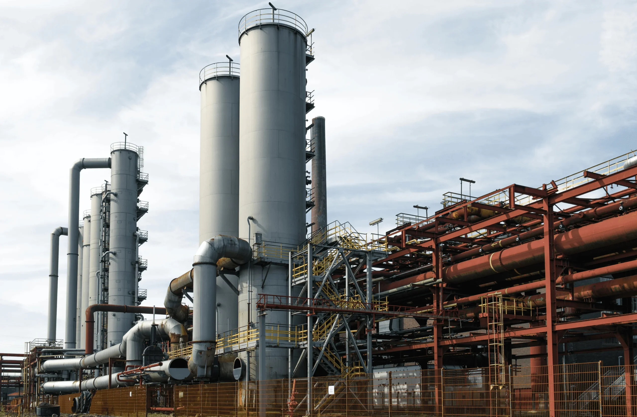 Nutraceuticals - Image 1