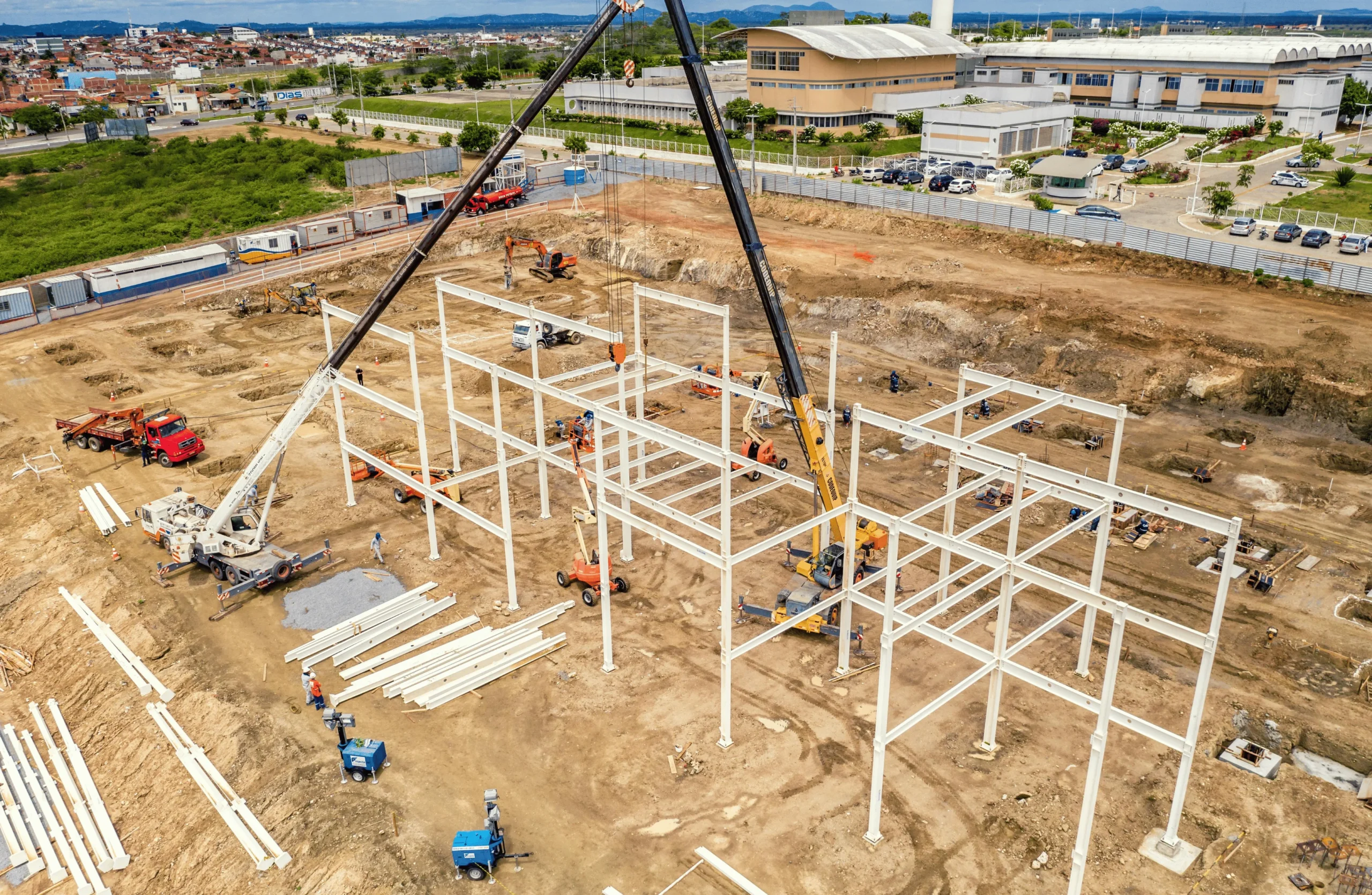 Nutraceuticals - Image 8